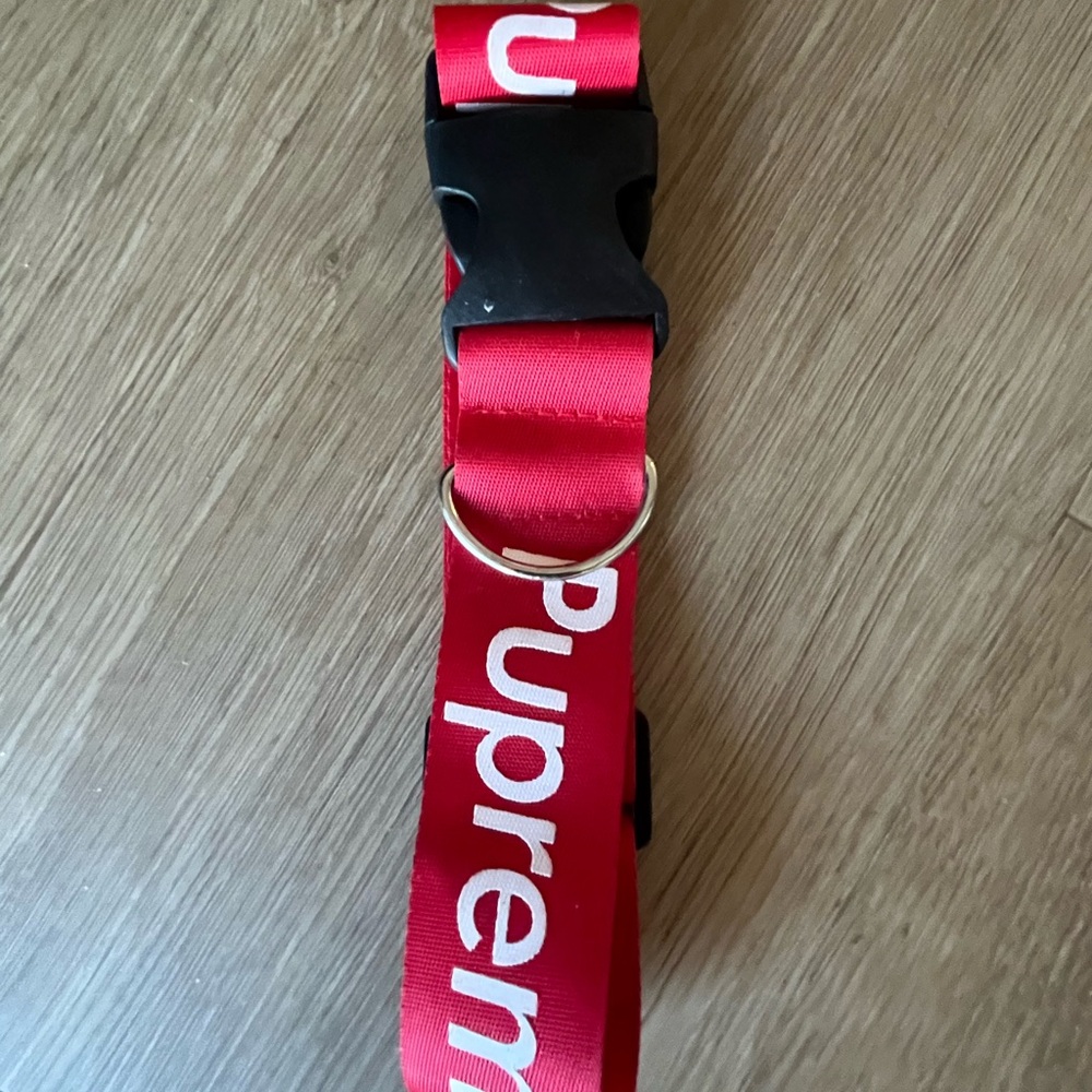 Red Designer-Style Dog Collar with White Logo Text